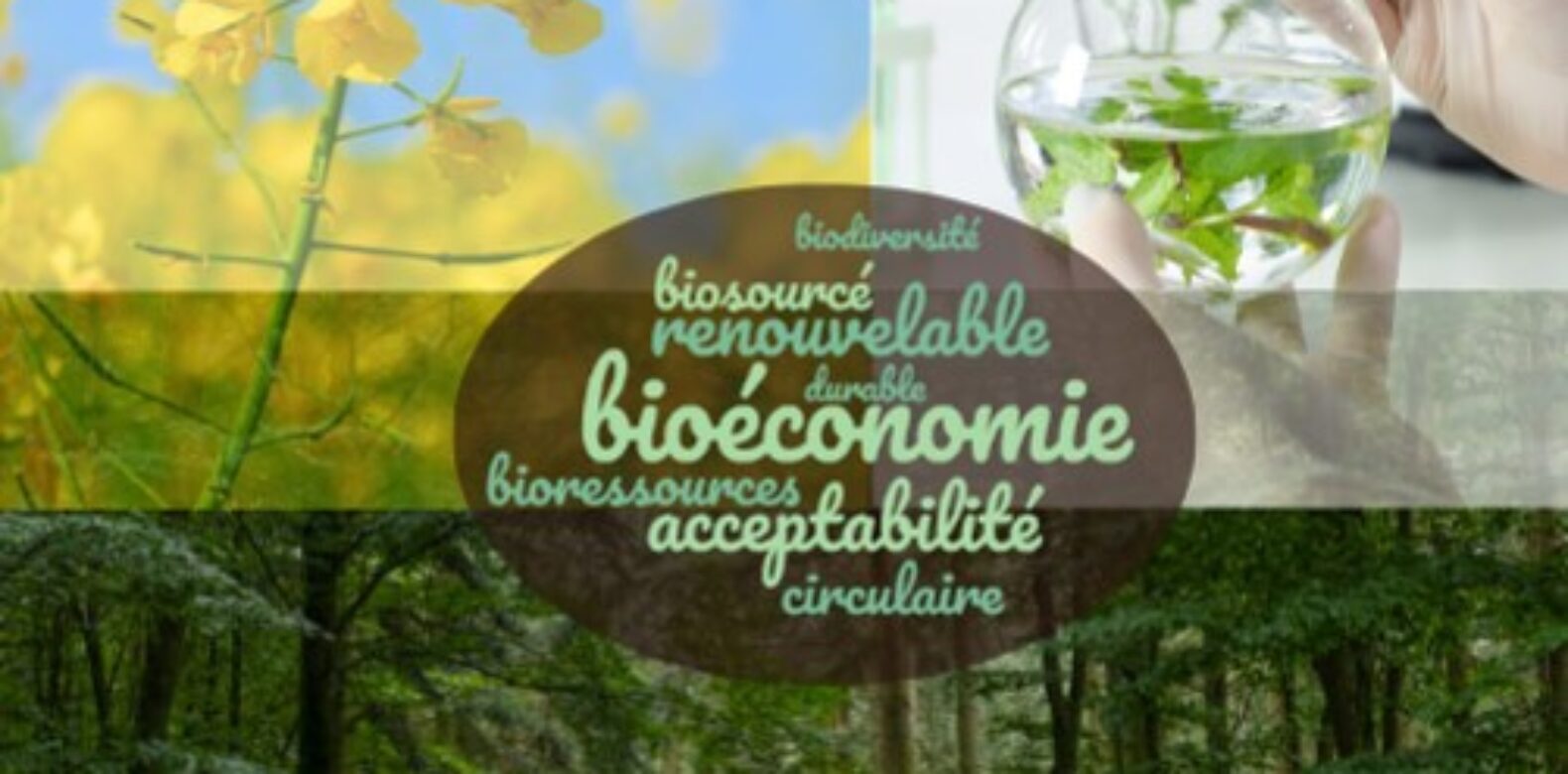 Faire de la bioéconomie le moteur de l’économie circulaire et décarbonée dans le Grand Est