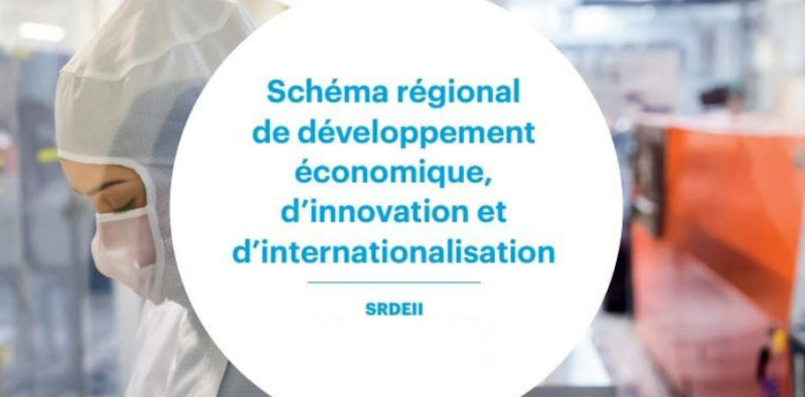 Avis | Schéma Régional de Développement Économique, d’Innovation et d’Internationalisation 2022-2028