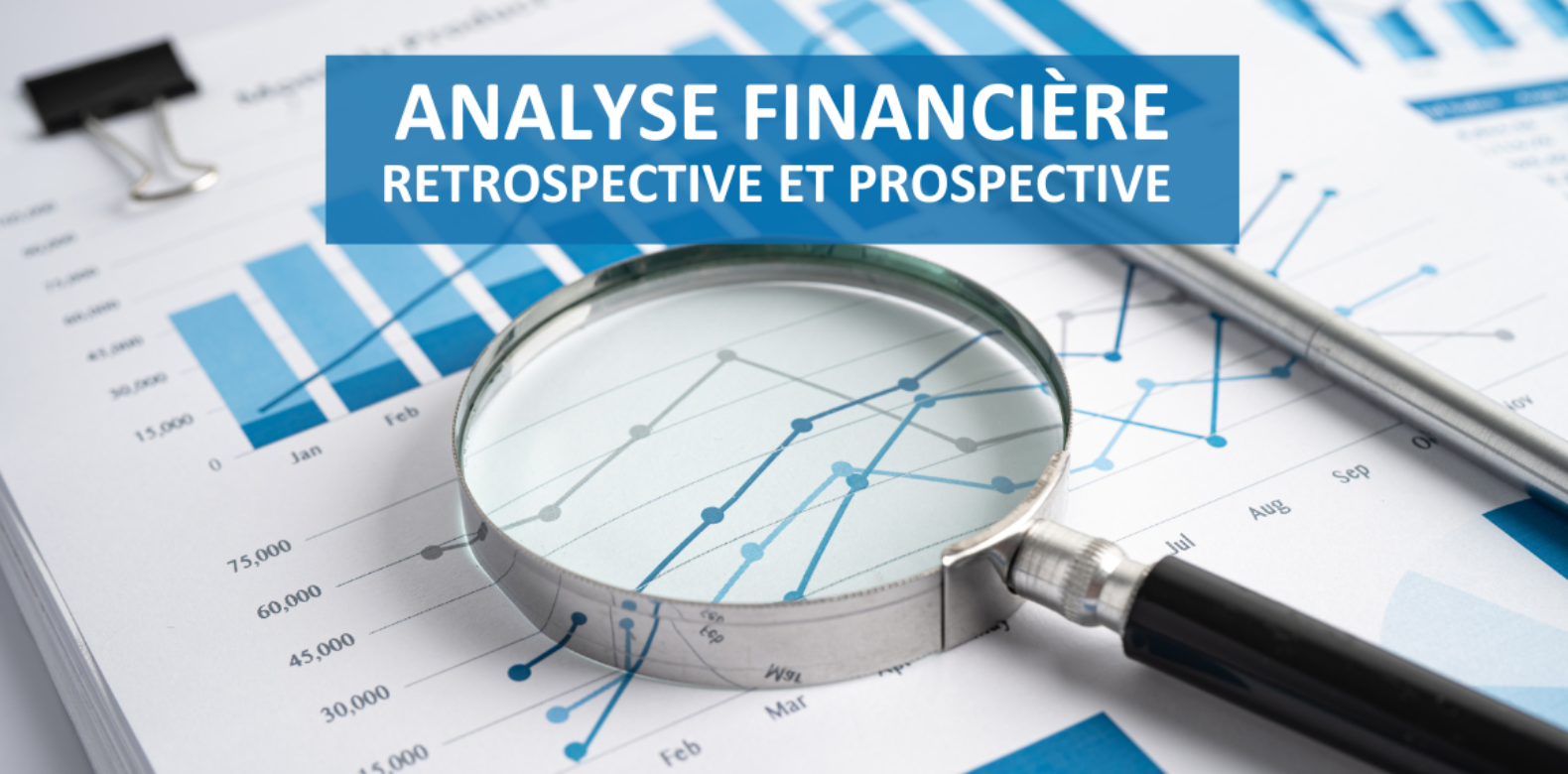 Avis | Analyse financière rétrospective et prospective 2023
