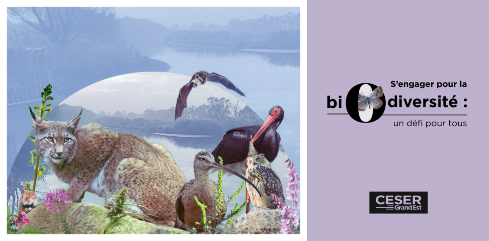 Colloque du CESER Grand Est | « S’engager pour la biodiversité : un défi pour tous »