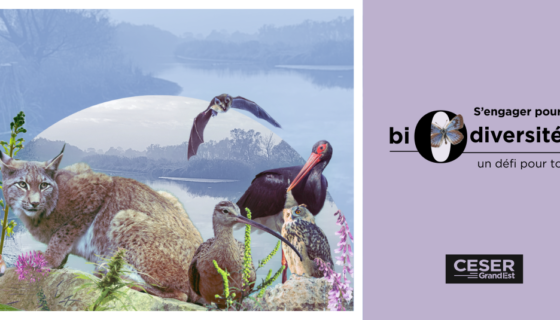 Colloque du CESER Grand Est | « S’engager pour la biodiversité : un défi pour tous »