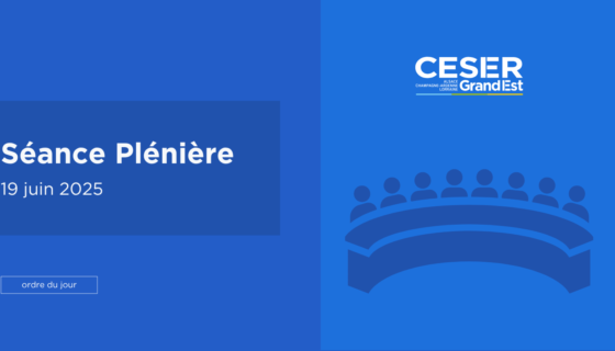 Séance Plénière | 19 juin