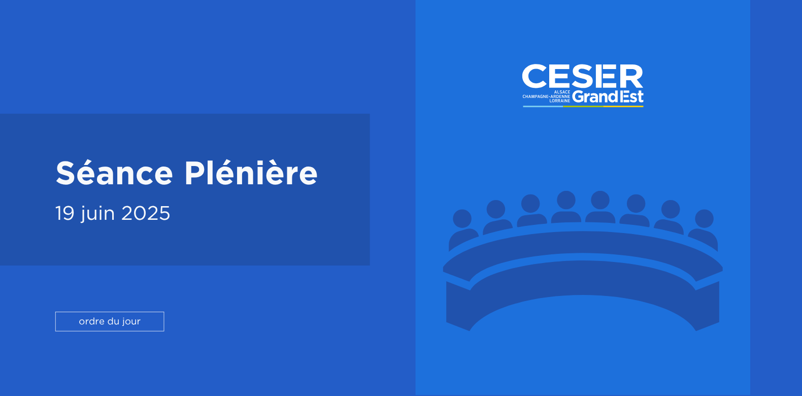 Séance Plénière | 19 juin
