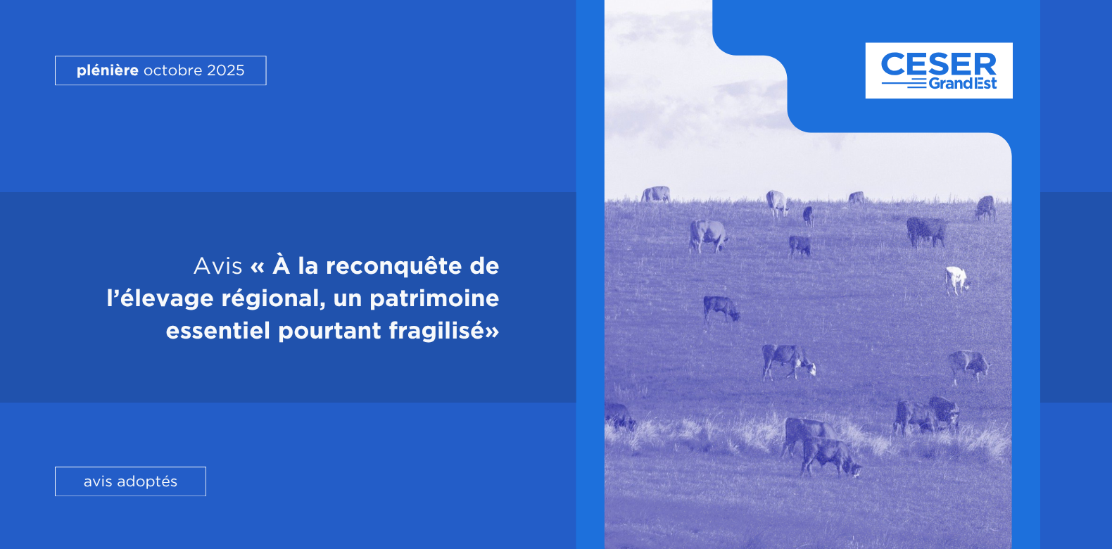 À la reconquête de l’élevage régional, un patrimoine essentiel pourtant fragilisé