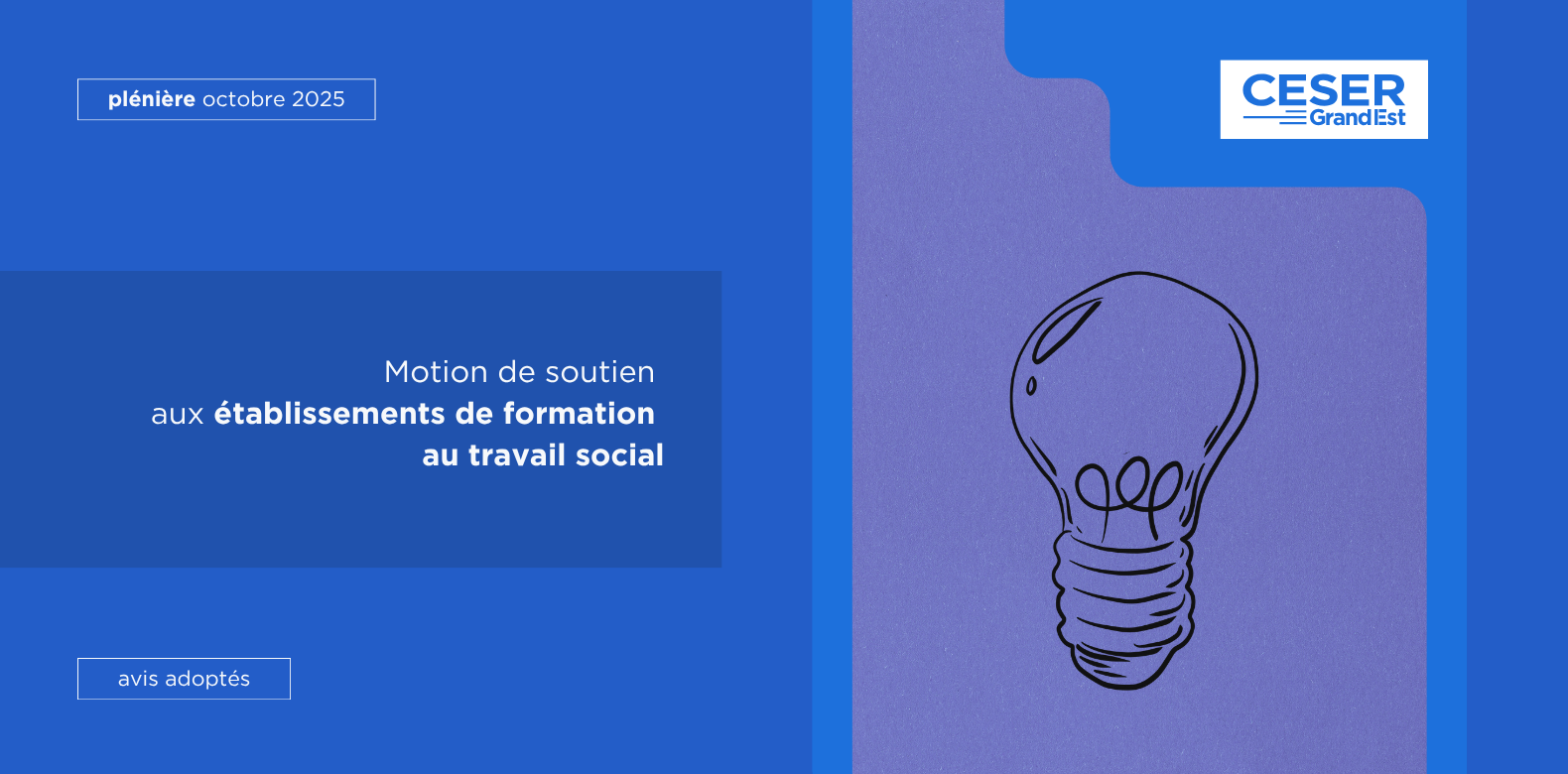 Motion Alerte au Conseil Régional sur la situation des établissements de formation au travail social en Grand Est