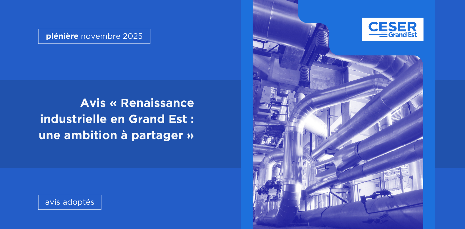 Avis « Renaissance industrielle en Grand Est : une ambition à partager »