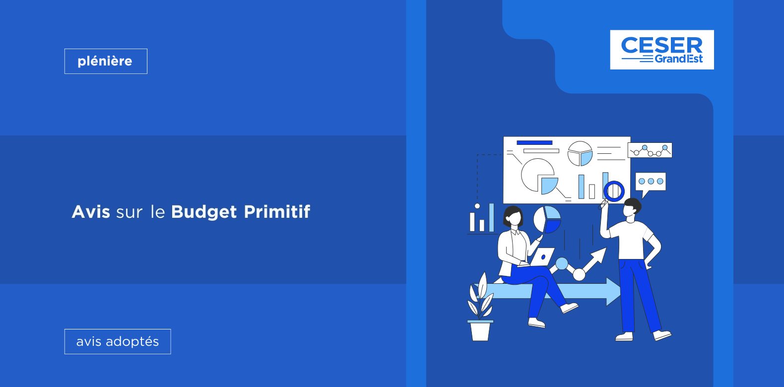 Avis sur le Budget Primitif 2026