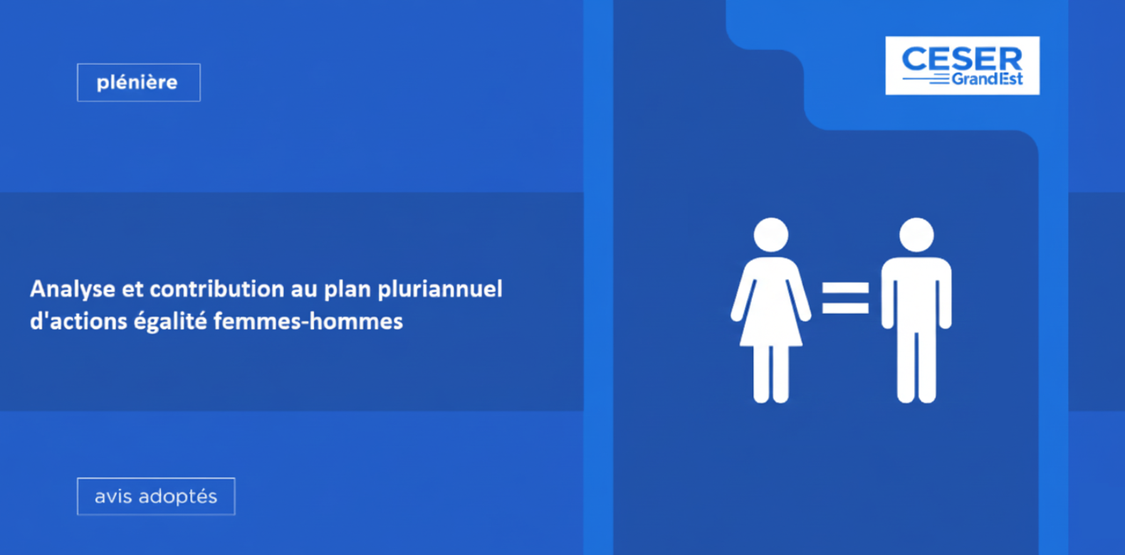 Analyse et contribution au plan pluriannuel d&rsquo;actions égalité femmes-hommes