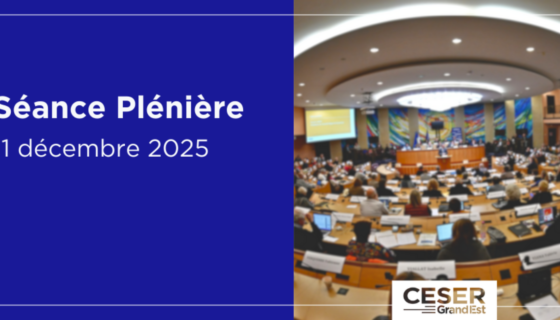 Séance plénière | 11 décembre 2025