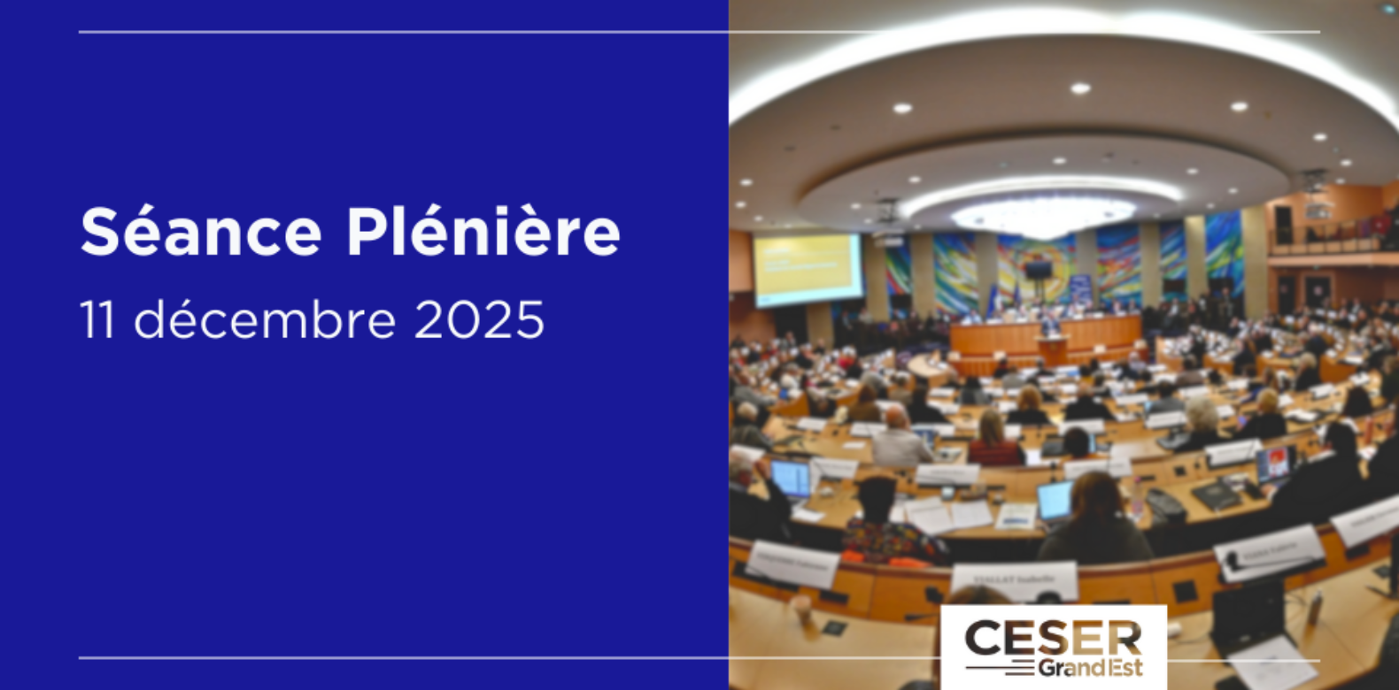 Séance plénière | 11 décembre 2025