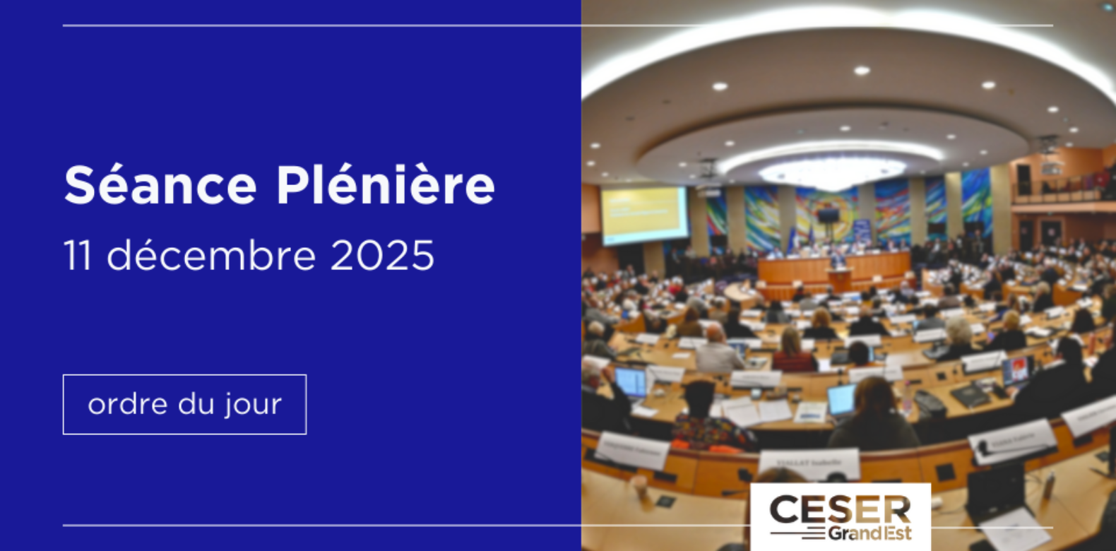 Séance plénière | 11 décembre 2025