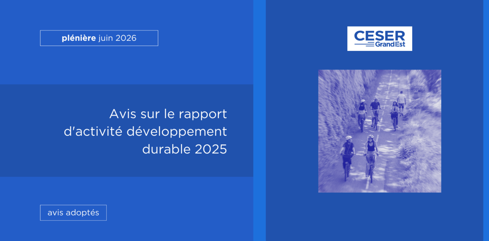 Avis sur le rapport d’activité développement durable 2025